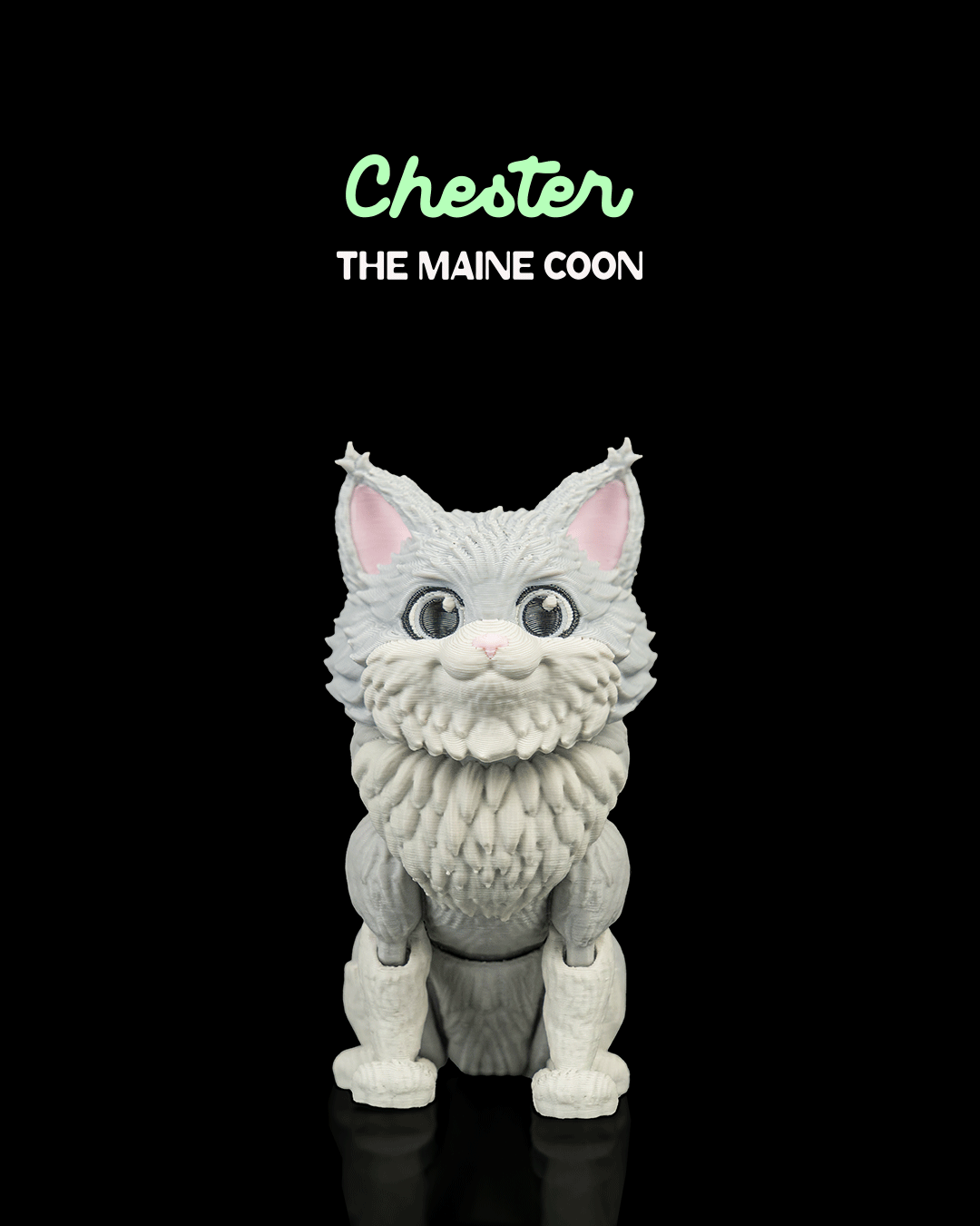 Chester, the Maine Coon