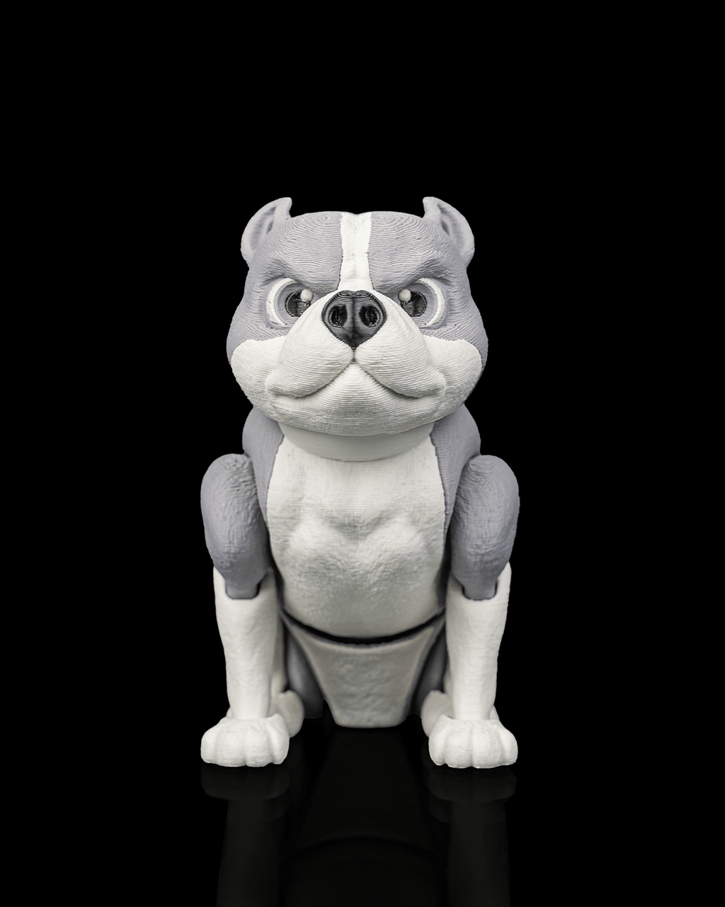 Diesel, the American Bully - view 6