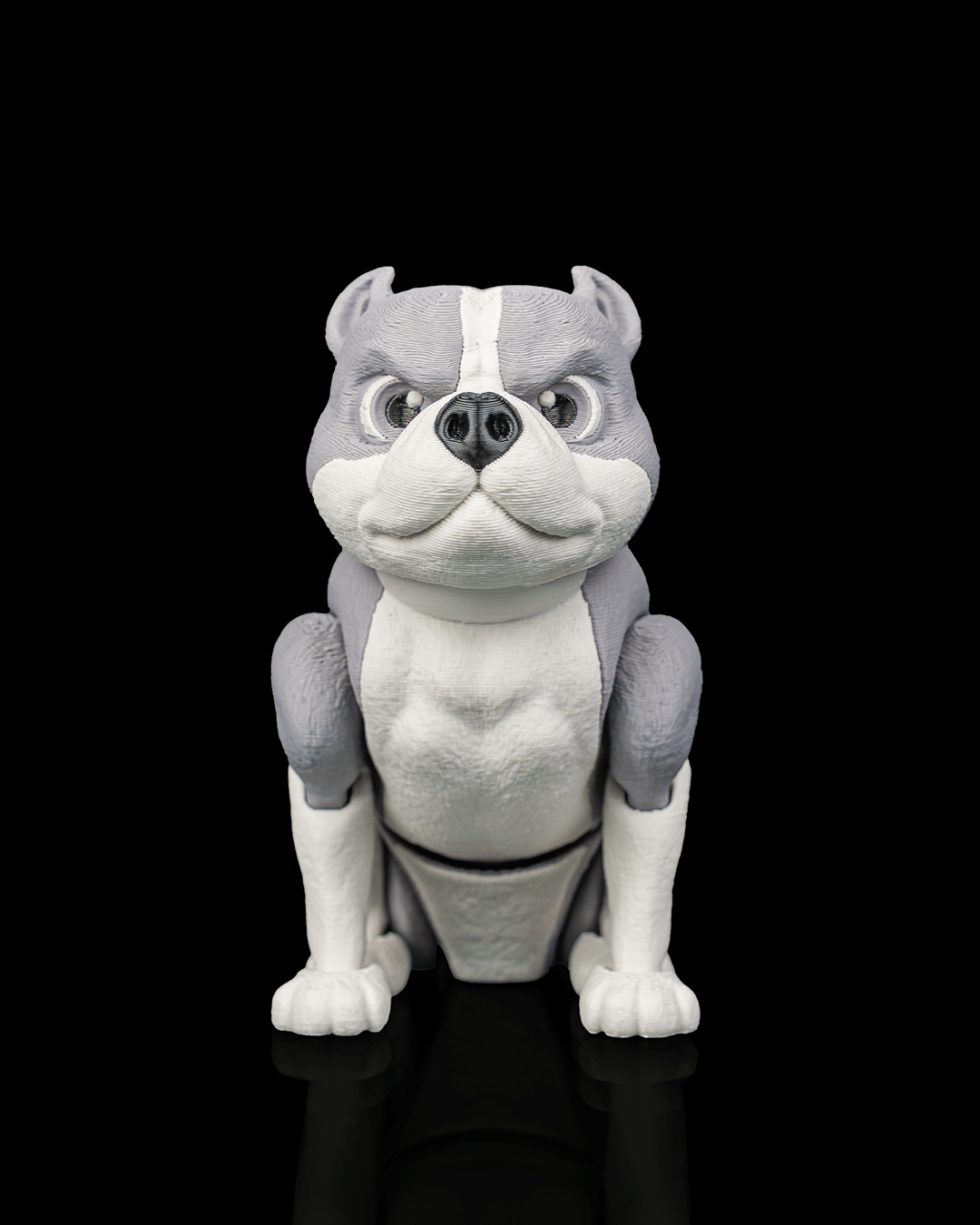 Diesel, the American Bully - view 6