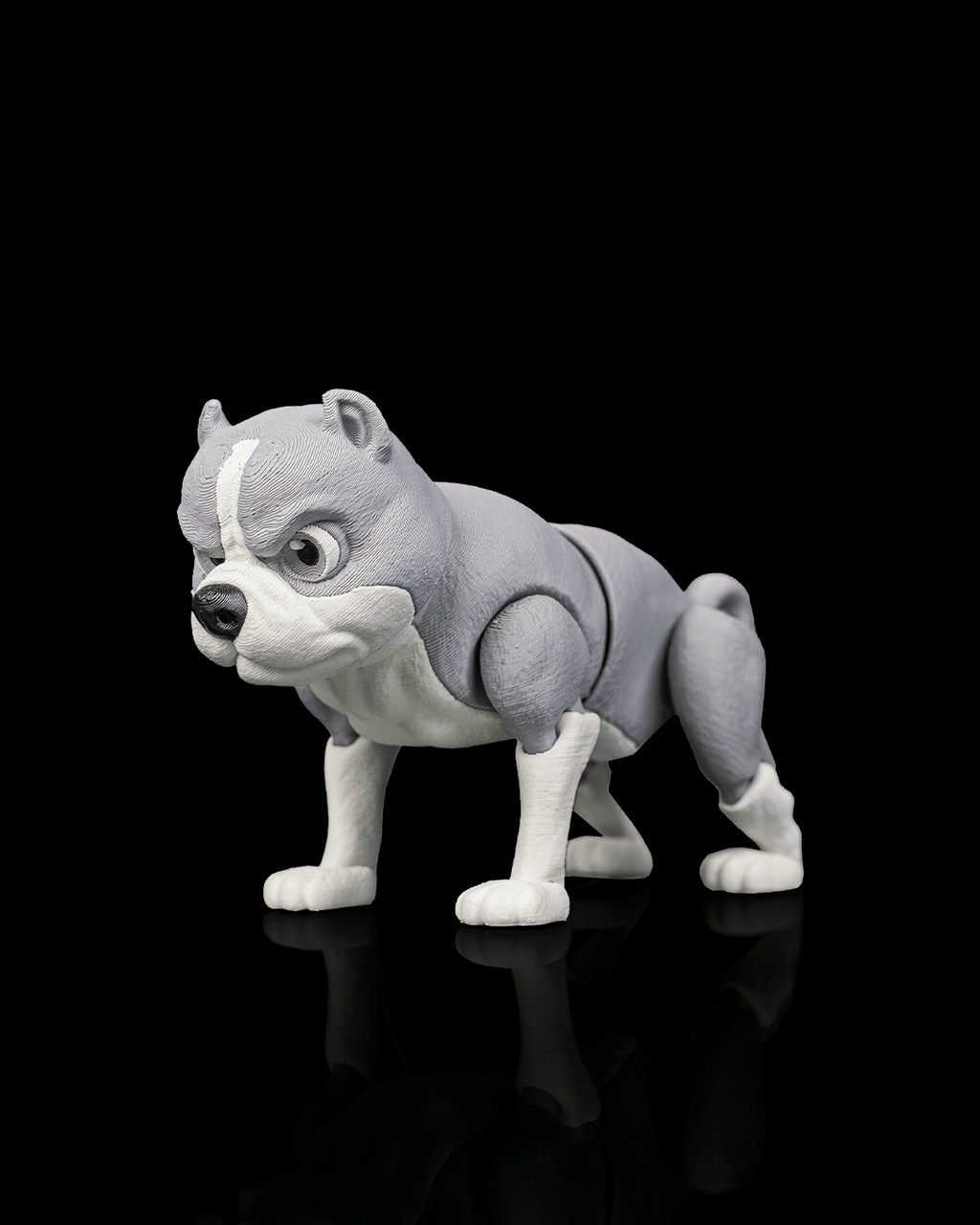 Diesel, the American Bully - view 7