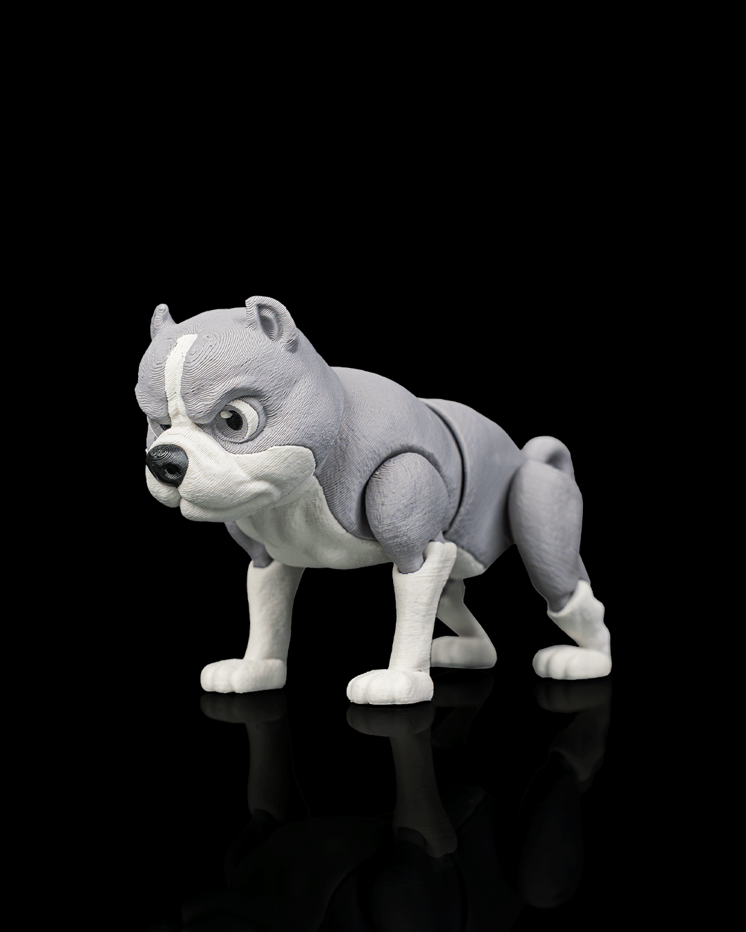 Diesel, the American Bully - view 7