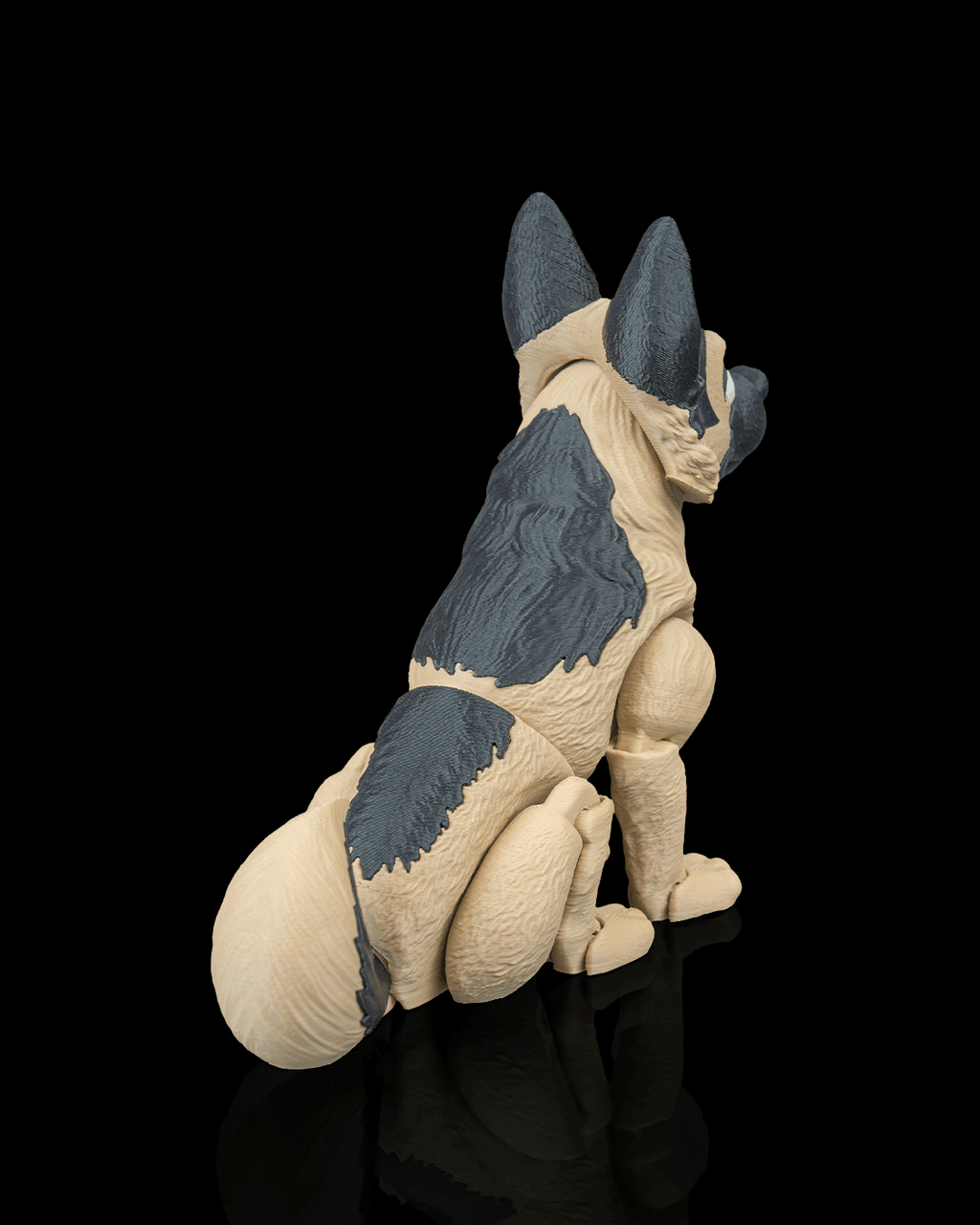 Ford, the German Shepherd - view 8