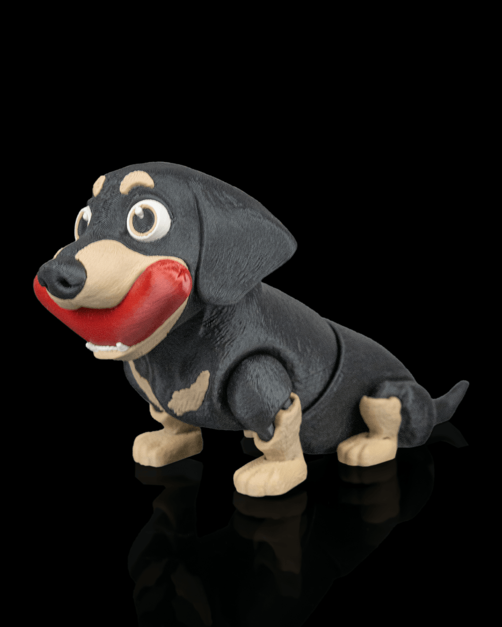 Frank, the Dachshund - view 3