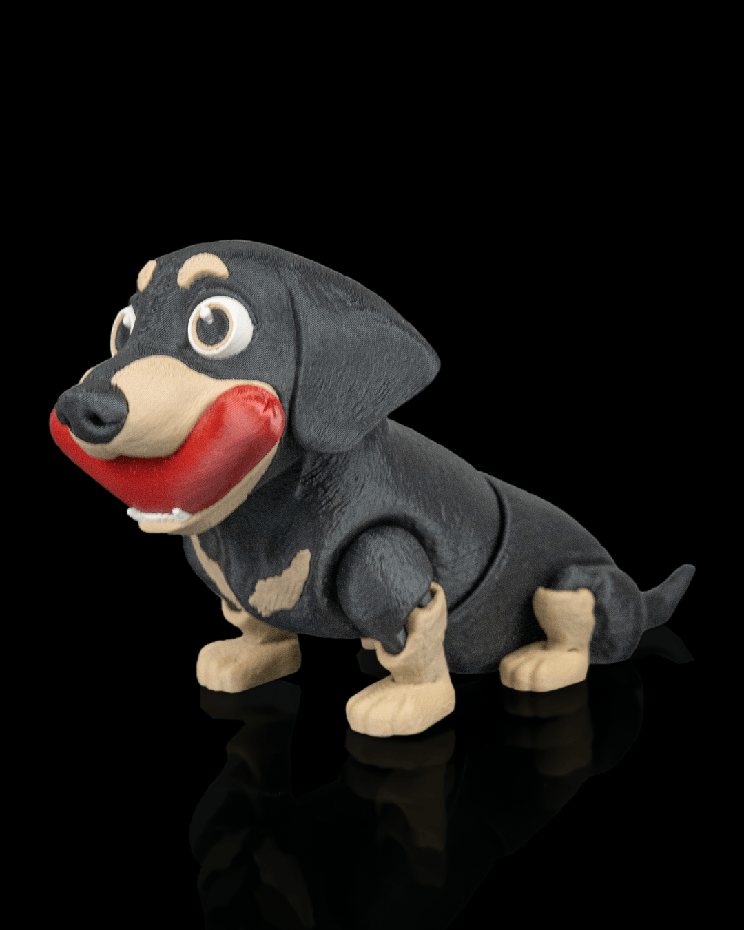 Frank, the Dachshund - view 3