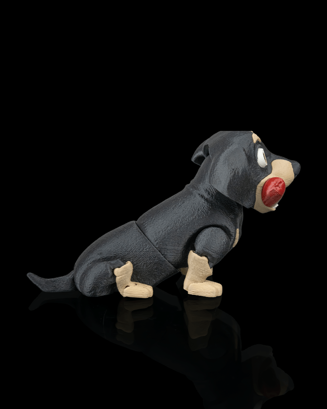 Frank, the Dachshund - view 4