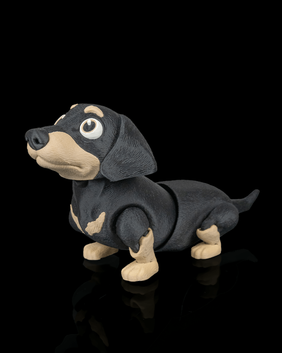 Frank, the Dachshund - view 5