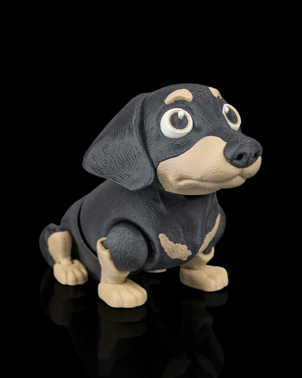Frank, the Dachshund - view 6