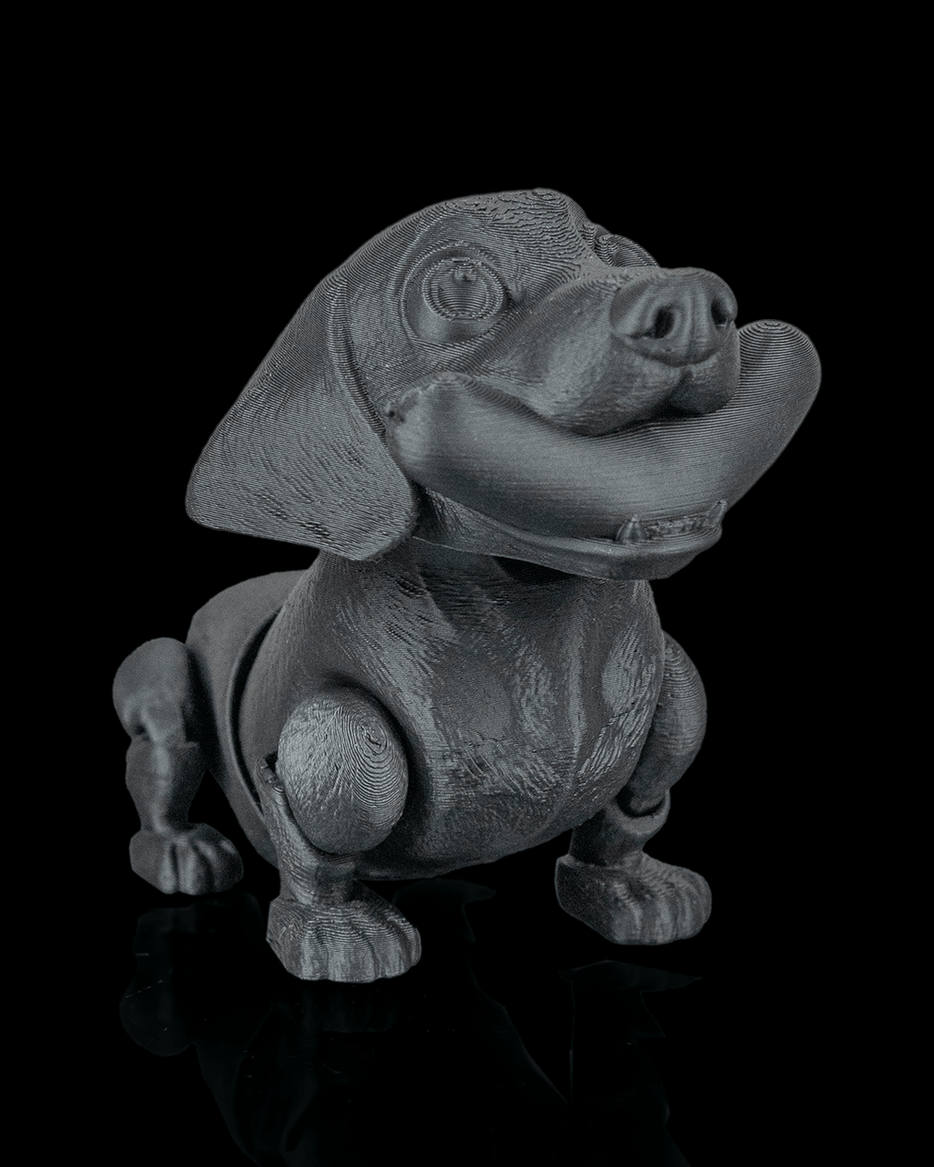 Frank, the Dachshund - view 9