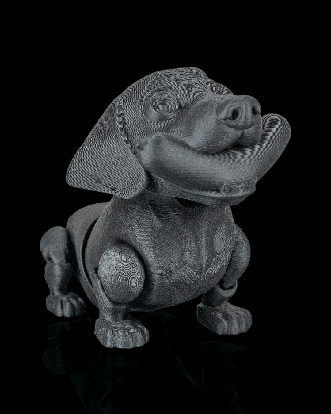 Frank, the Dachshund - view 9