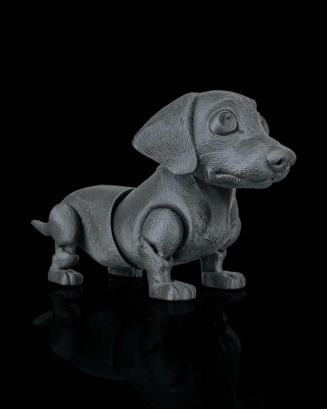 Frank, the Dachshund - view 10