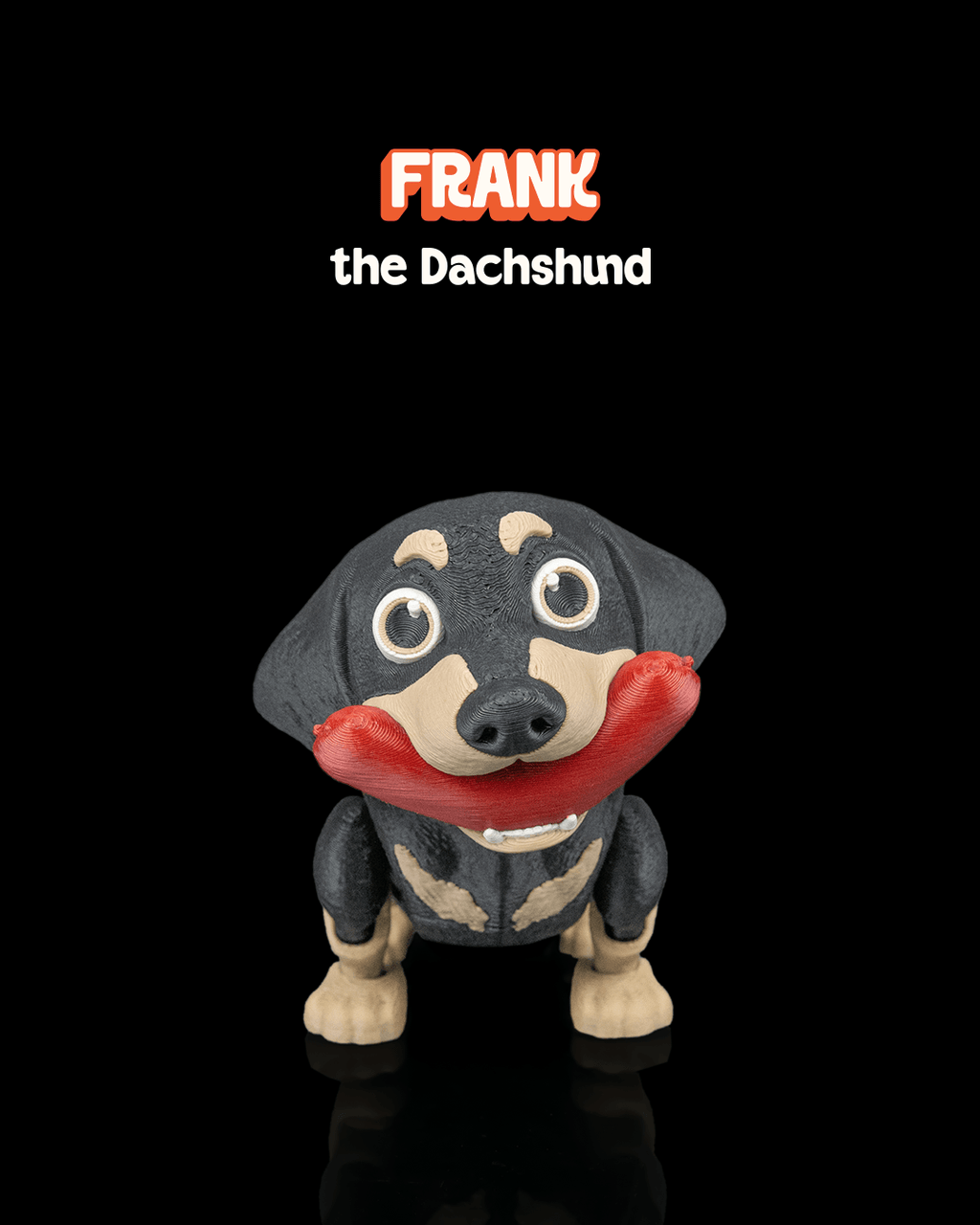Frank, the Dachshund