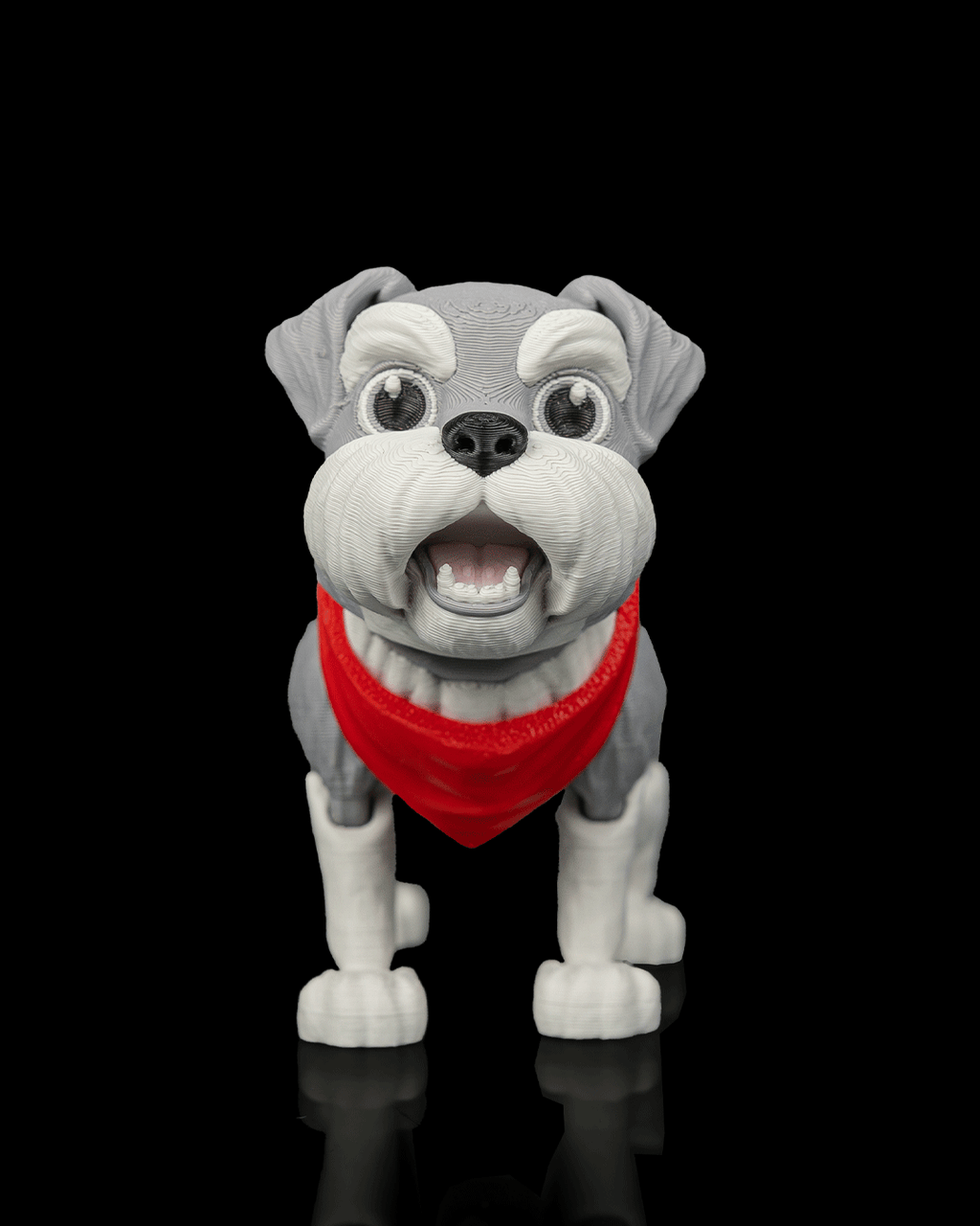 George, the Schnauzer - view 3