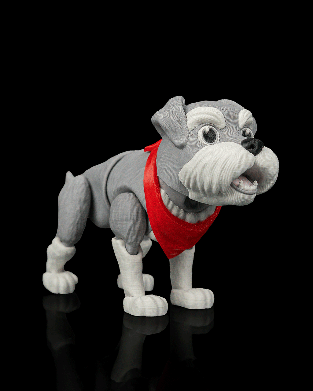 George, the Schnauzer - view 4