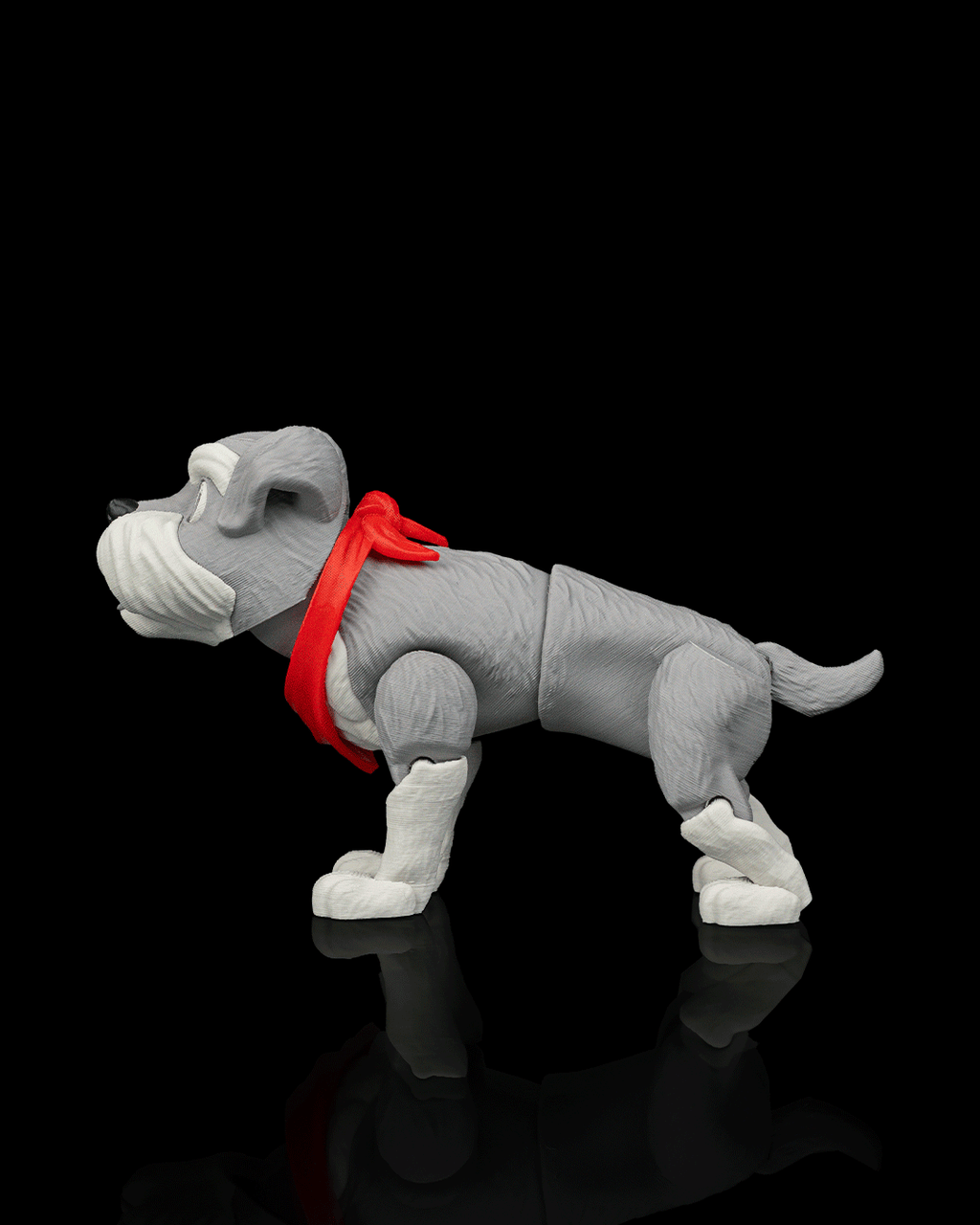 George, the Schnauzer - view 6