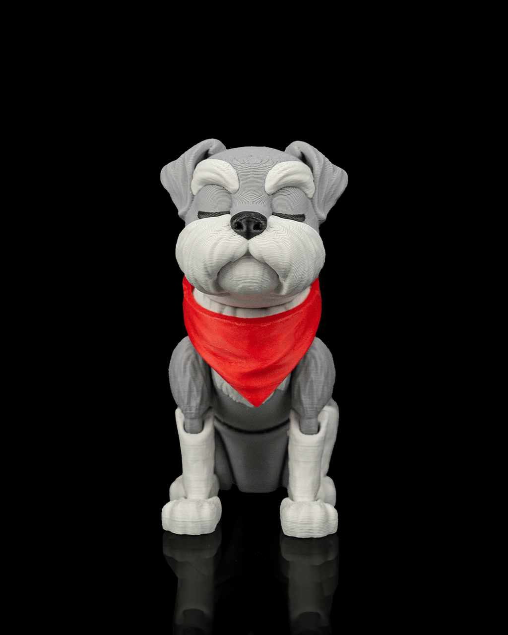 George, the Schnauzer - view 7