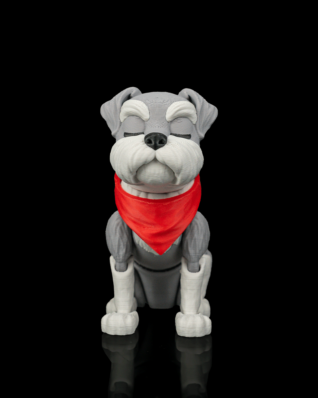 George, the Schnauzer - view 7