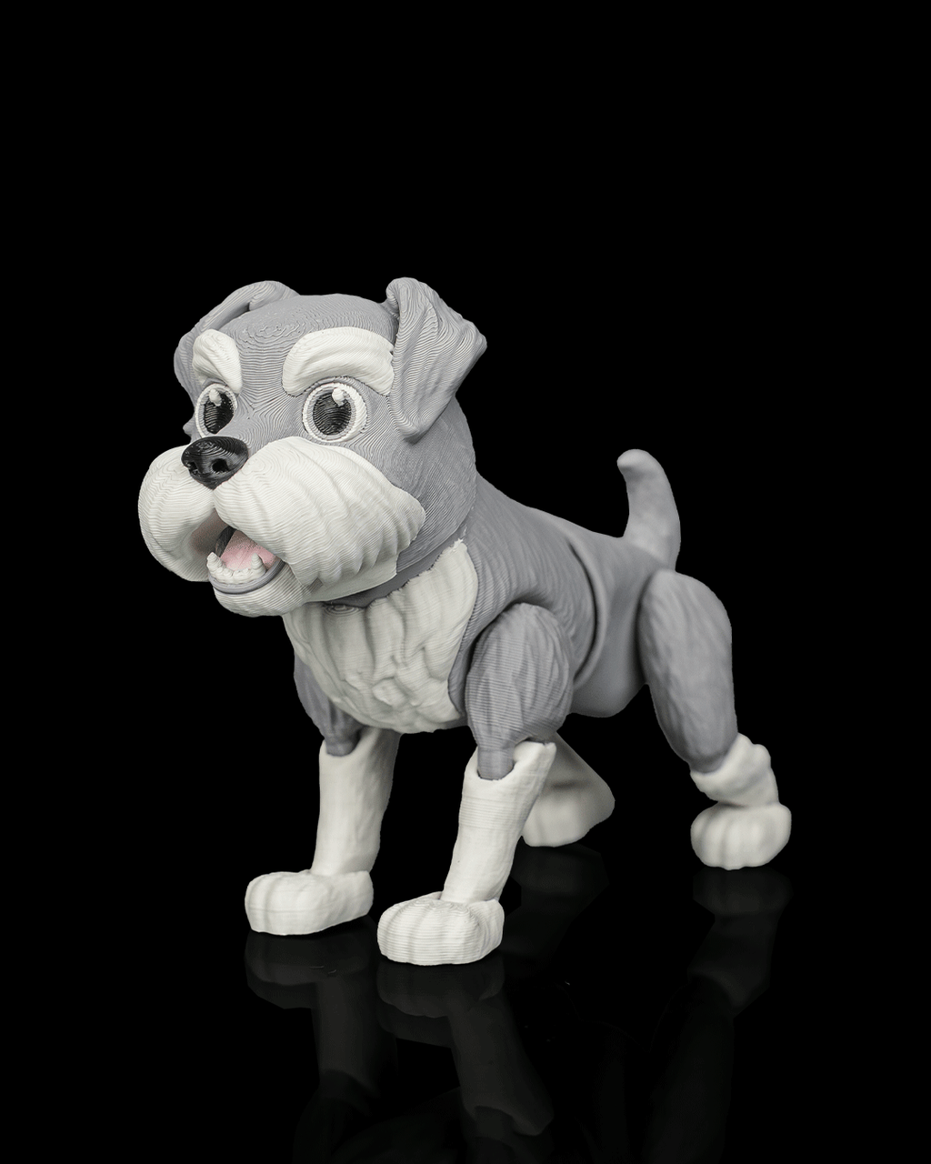 George, the Schnauzer - view 8