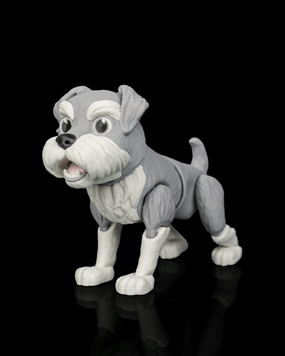 George, the Schnauzer - view 8