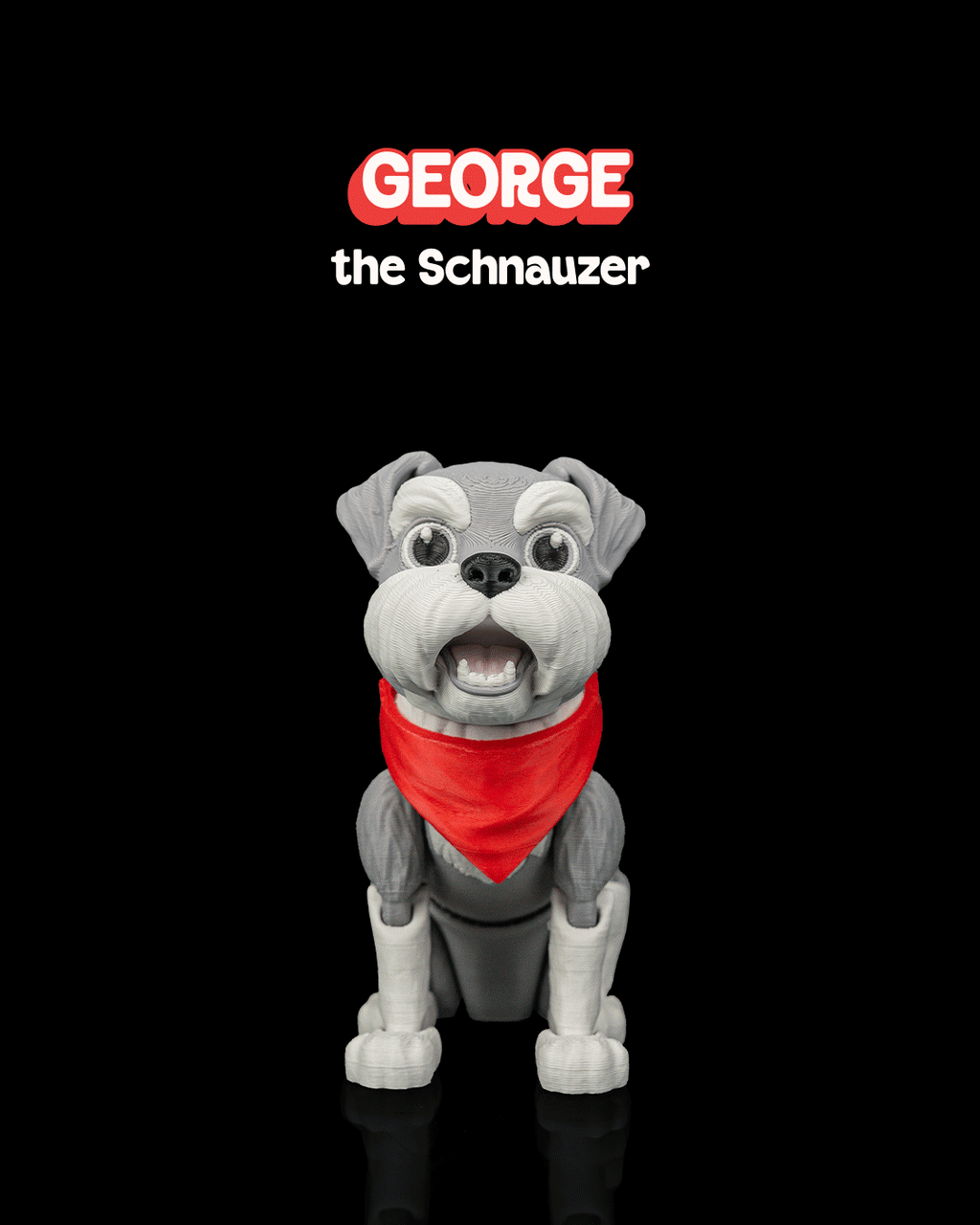 George, the Schnauzer