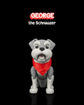 George, the Schnauzer