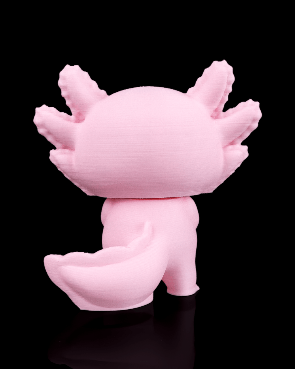 Heartfelt Axolotl - view 5