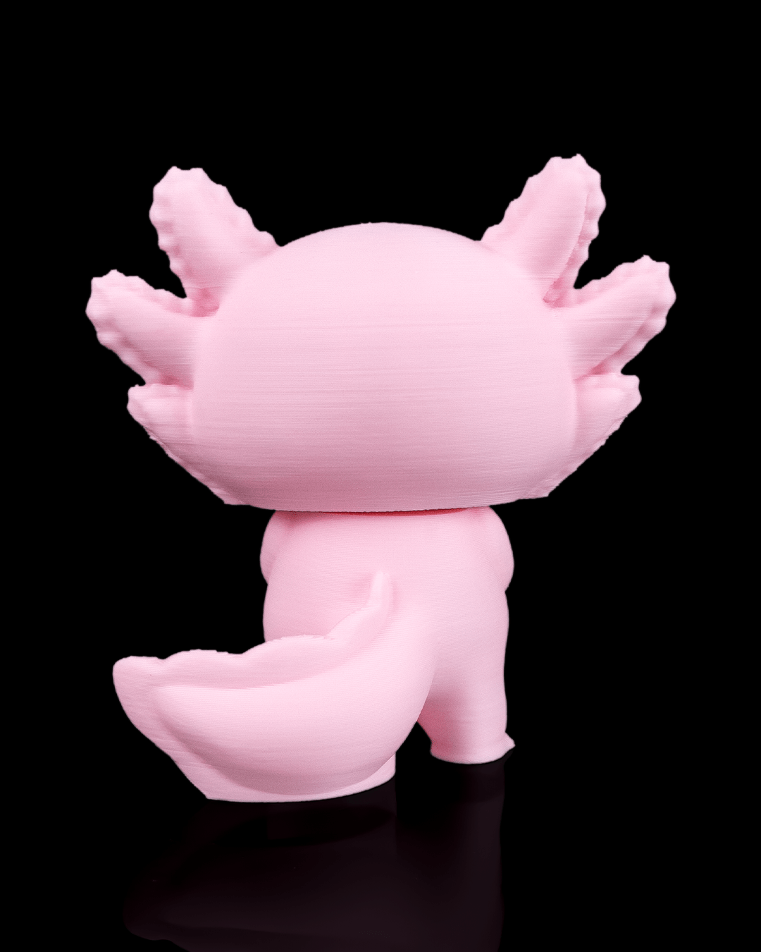 Heartfelt Axolotl - view 5