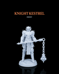 Knight Kestrel - Enemy
