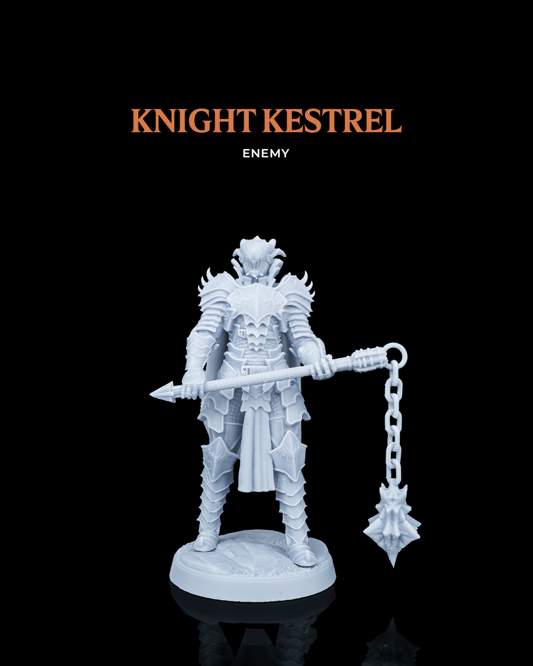Knight Kestrel - Enemy