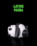 Laying Panda
