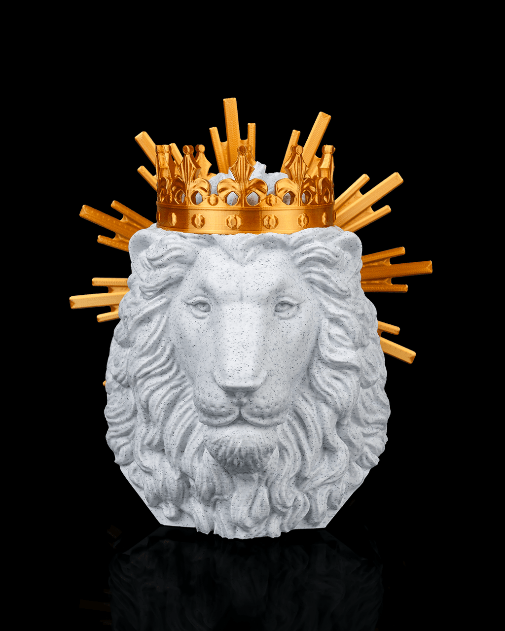 Lion of Judah - view 2