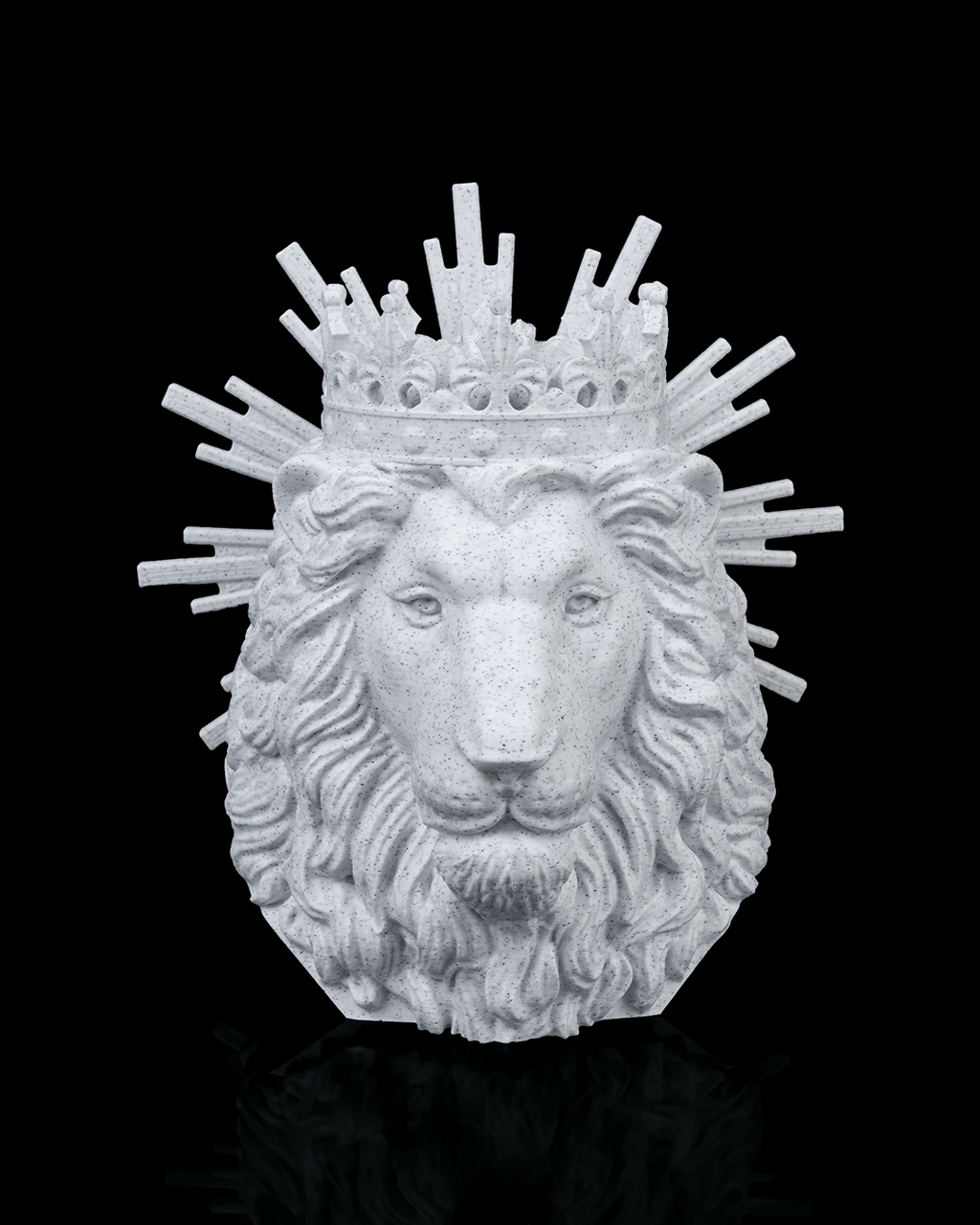 Lion of Judah - view 8