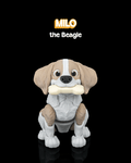 Milo, the Beagle