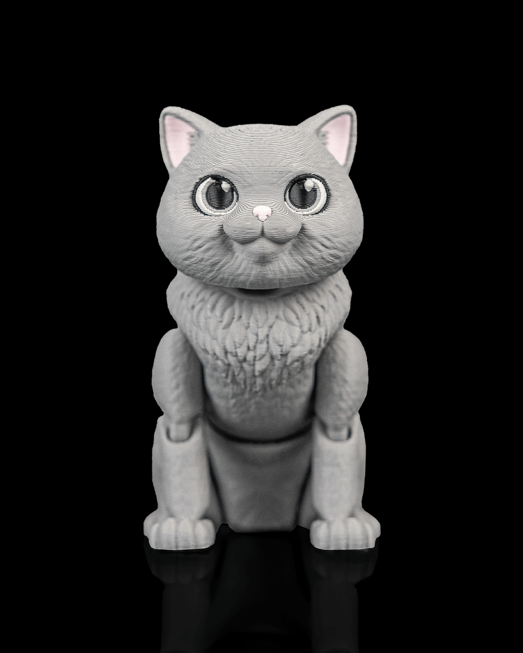 Oliver, the British Shorthair - view 2