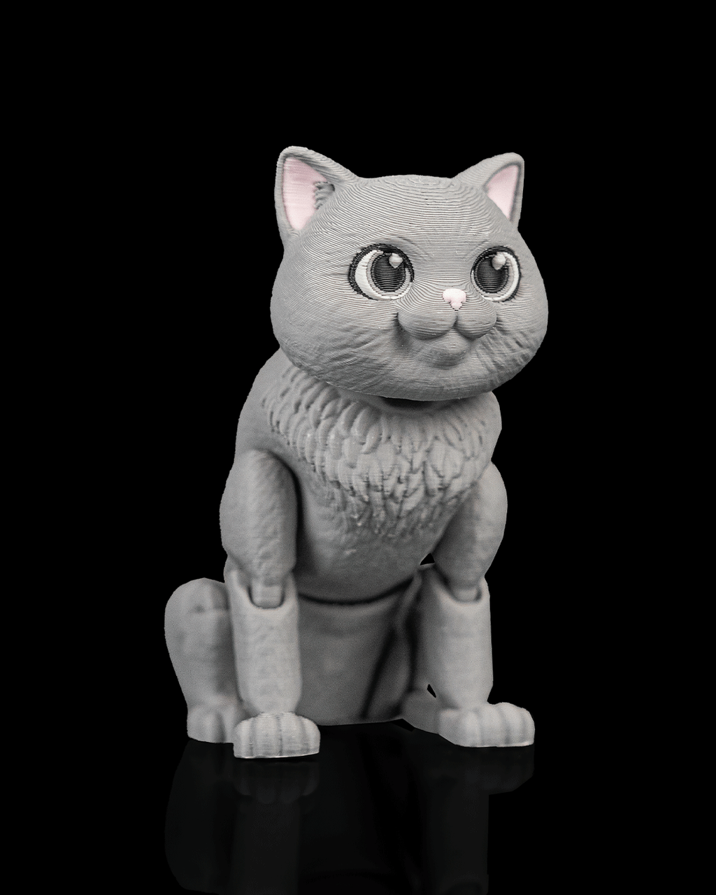 Oliver, the British Shorthair - view 3