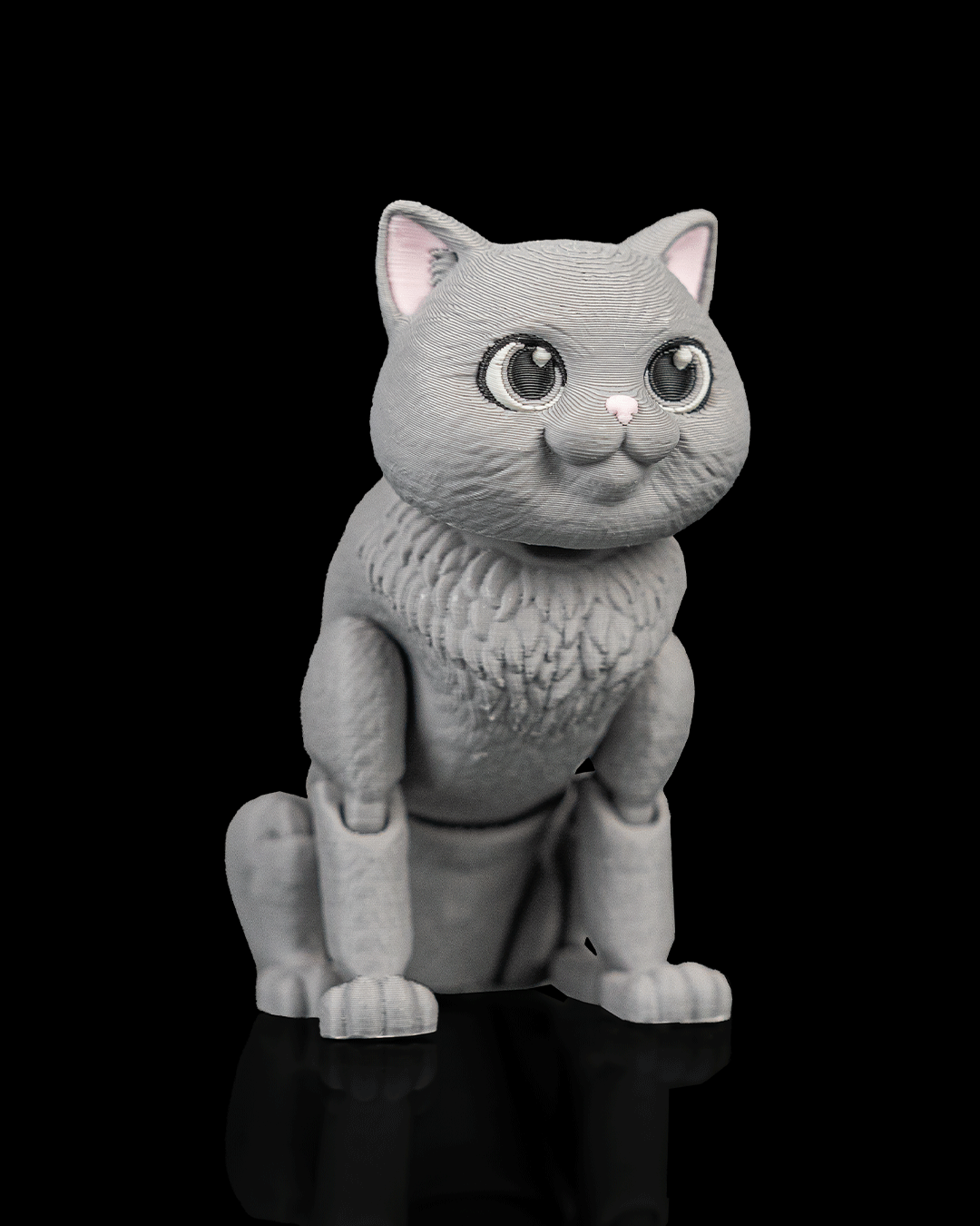 Oliver, the British Shorthair - view 3