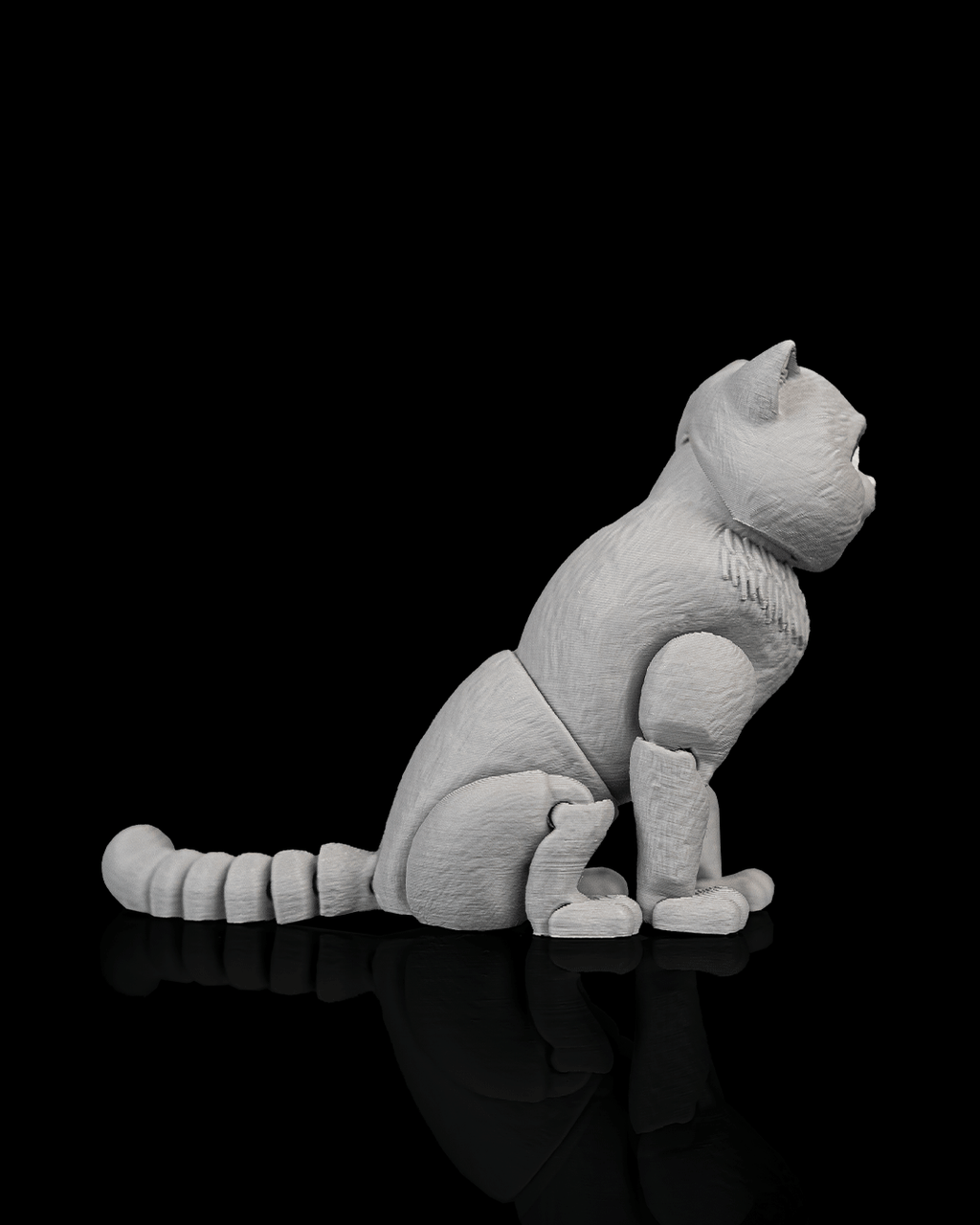 Oliver, the British Shorthair - view 4