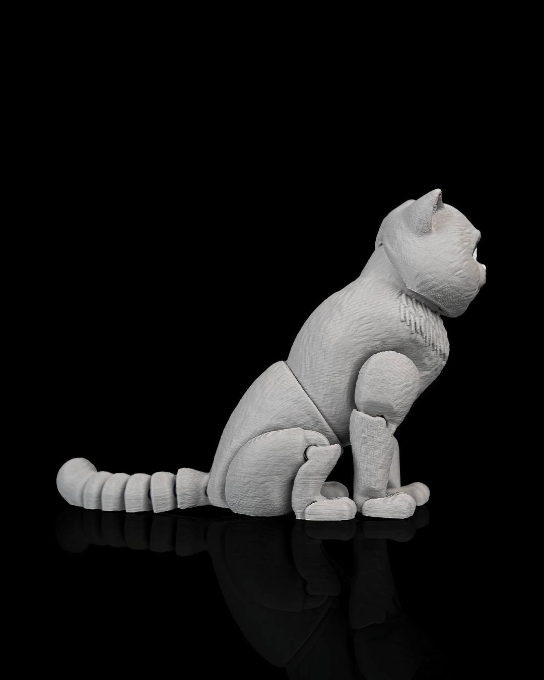 Oliver, the British Shorthair - view 4