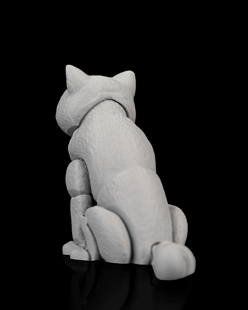 Oliver, the British Shorthair - view 5