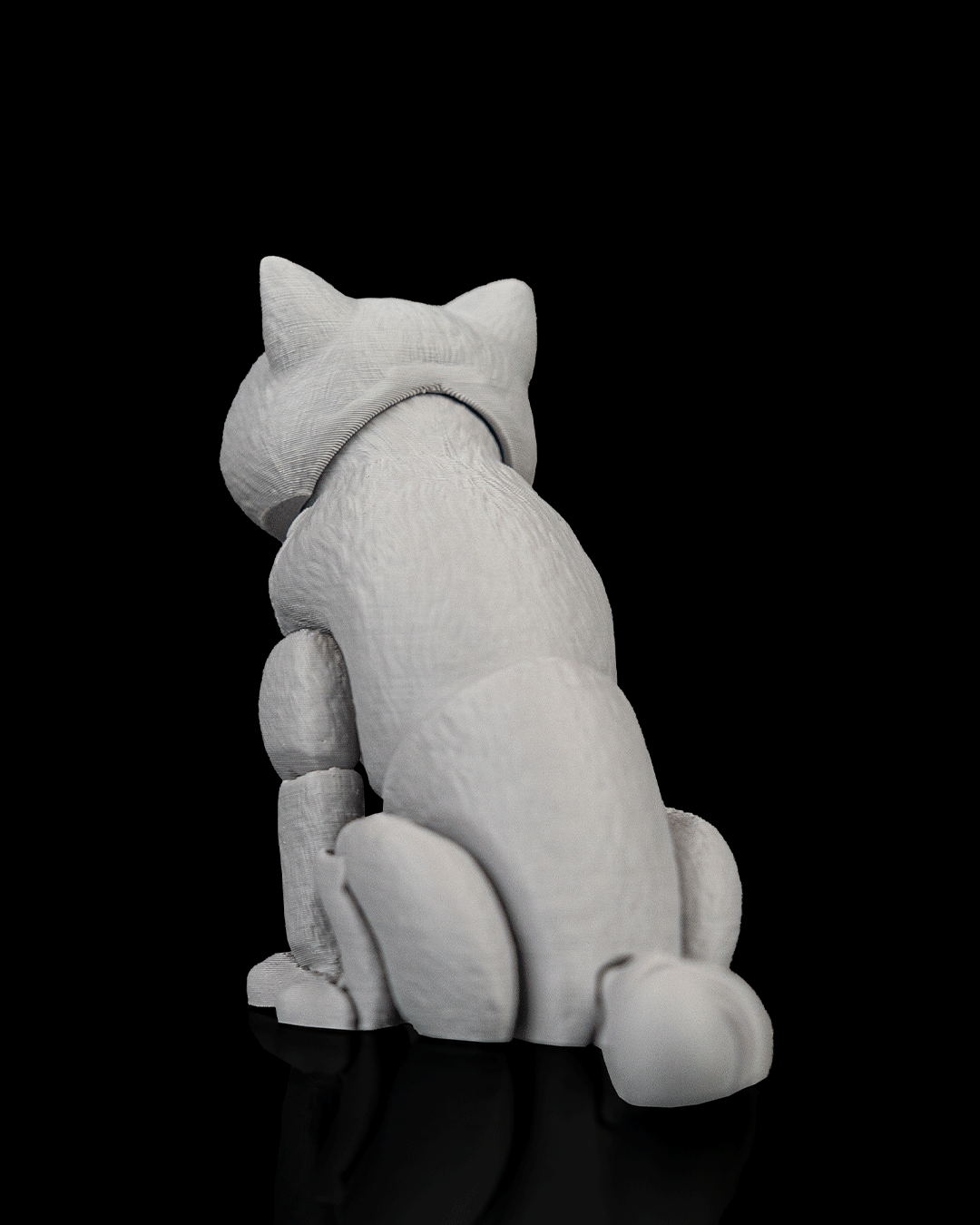 Oliver, the British Shorthair - view 5