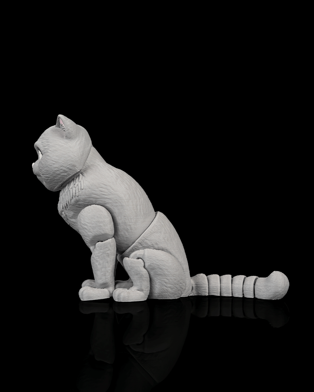 Oliver, the British Shorthair - view 6