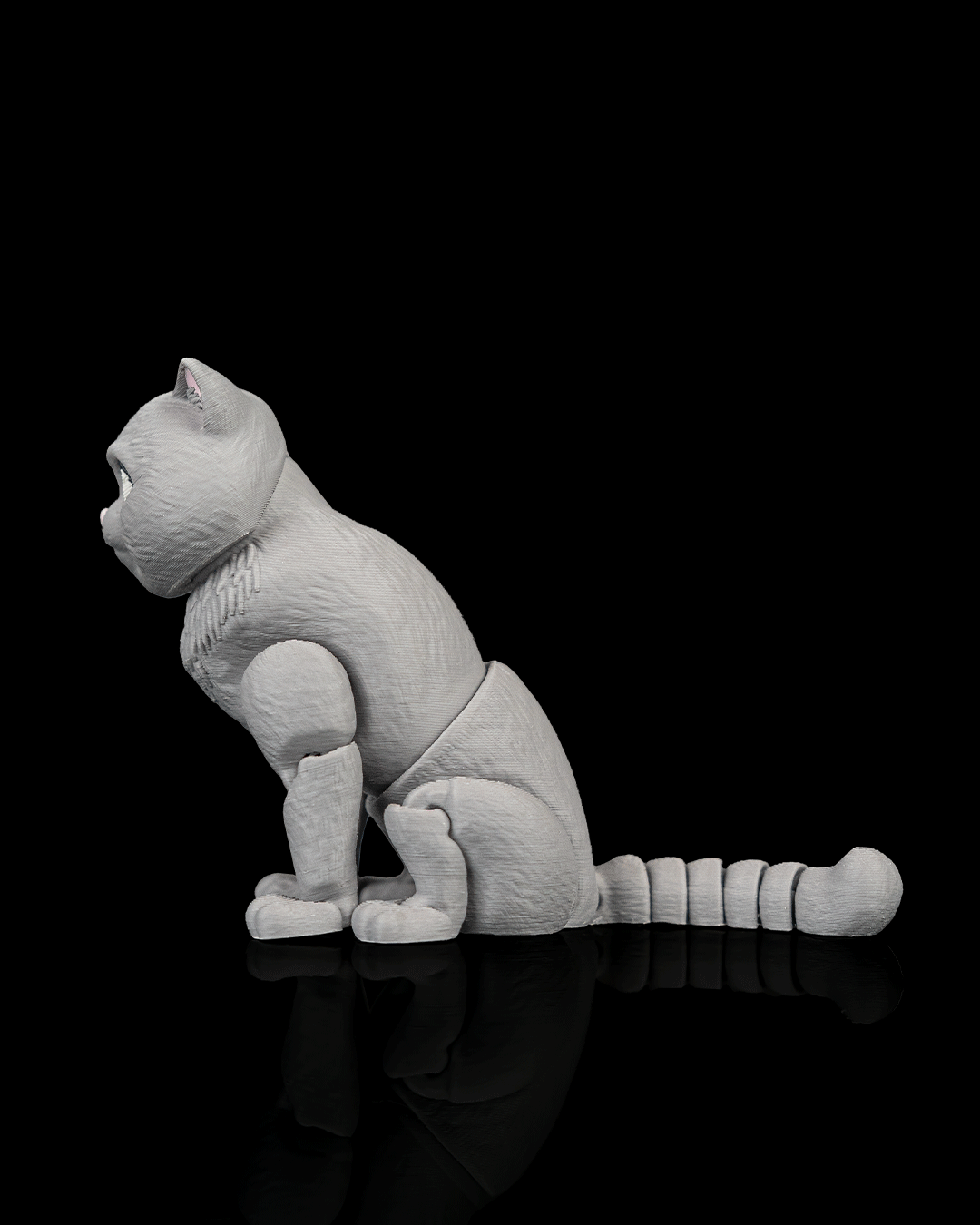 Oliver, the British Shorthair - view 6