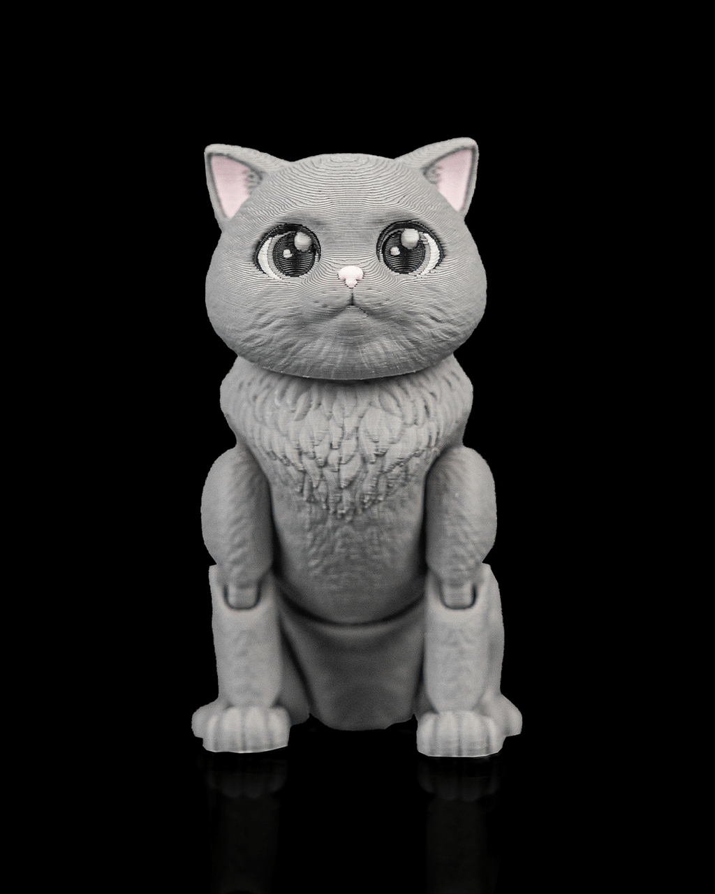 Oliver, the British Shorthair - view 7