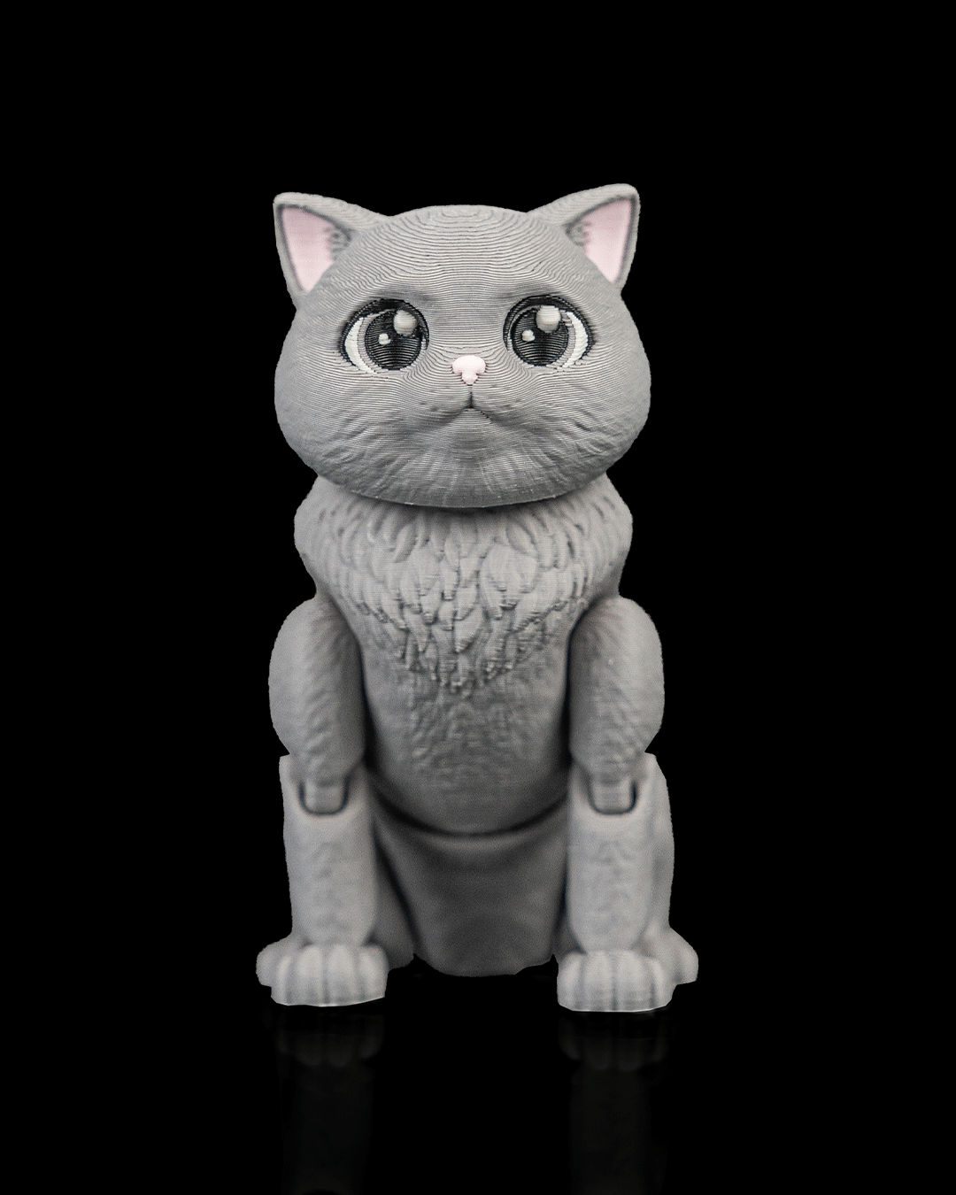 Oliver, the British Shorthair - view 7