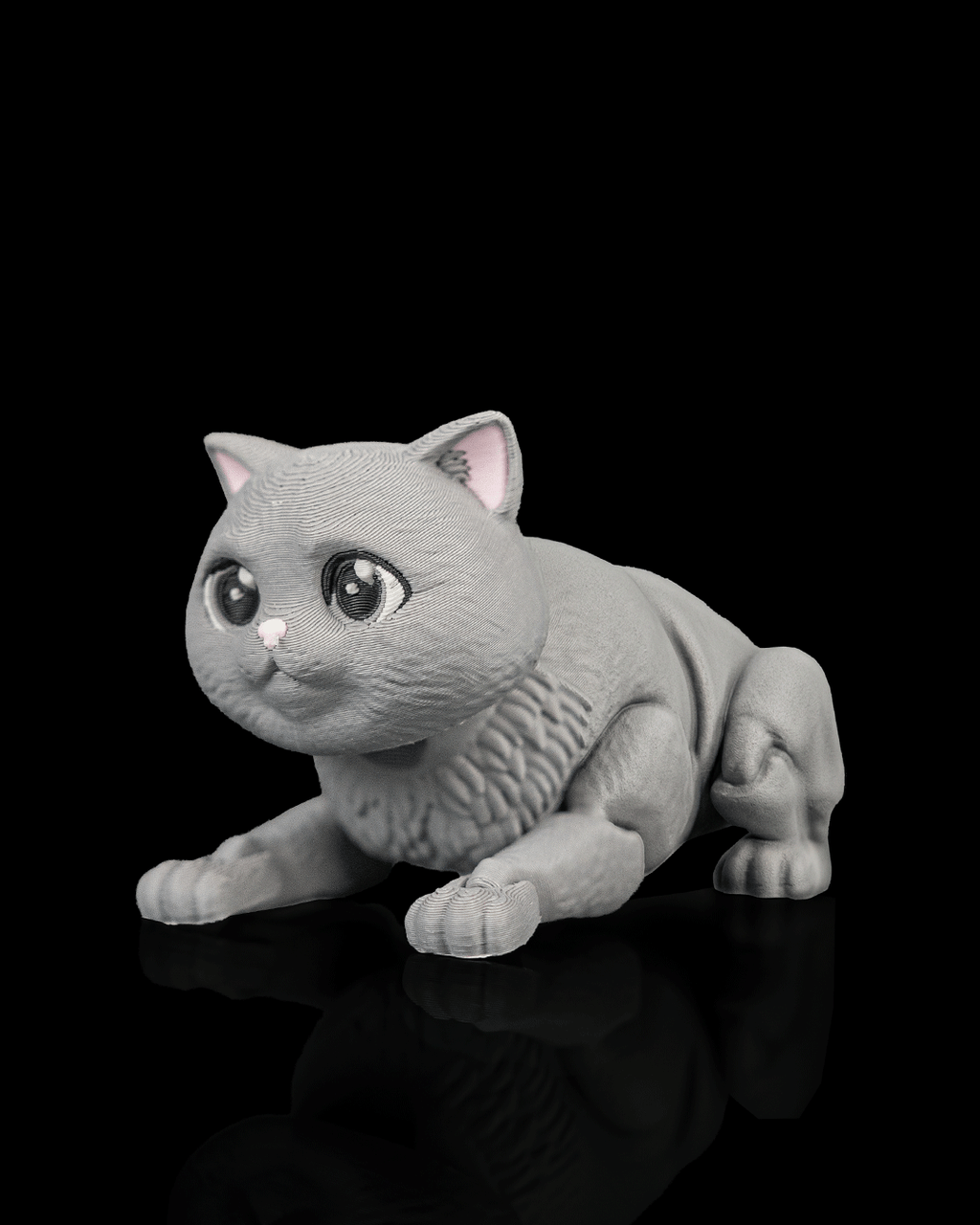 Oliver, the British Shorthair - view 8