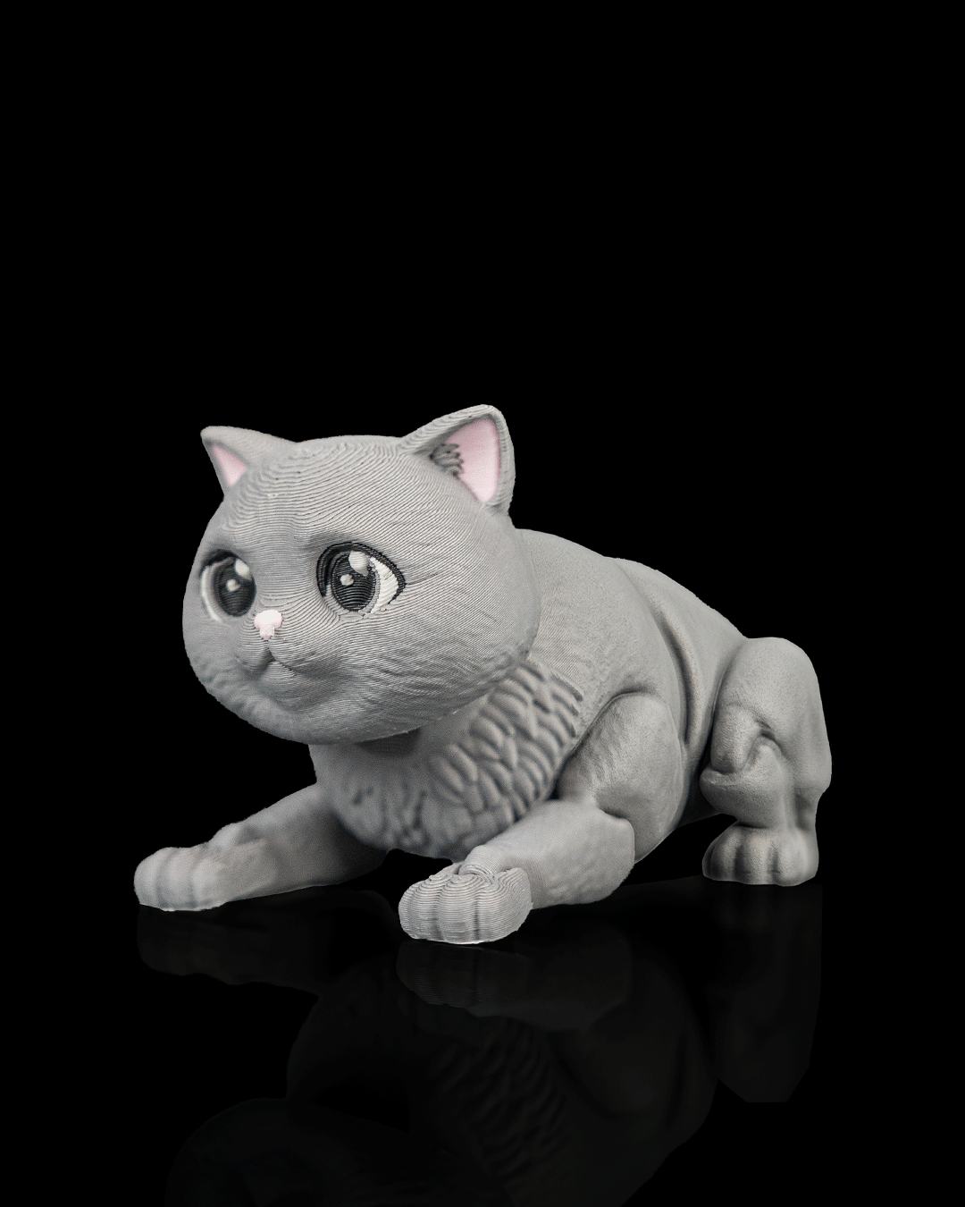 Oliver, the British Shorthair - view 8
