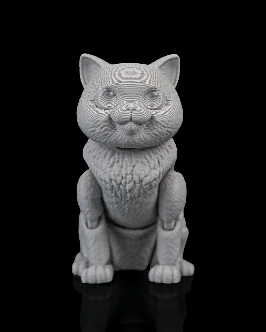 Oliver, the British Shorthair - view 9