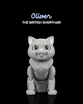 Oliver, the British Shorthair