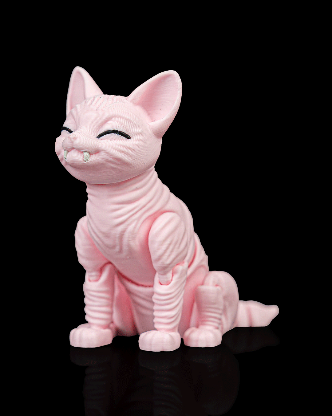 Ruby, the Sphynx - view 3