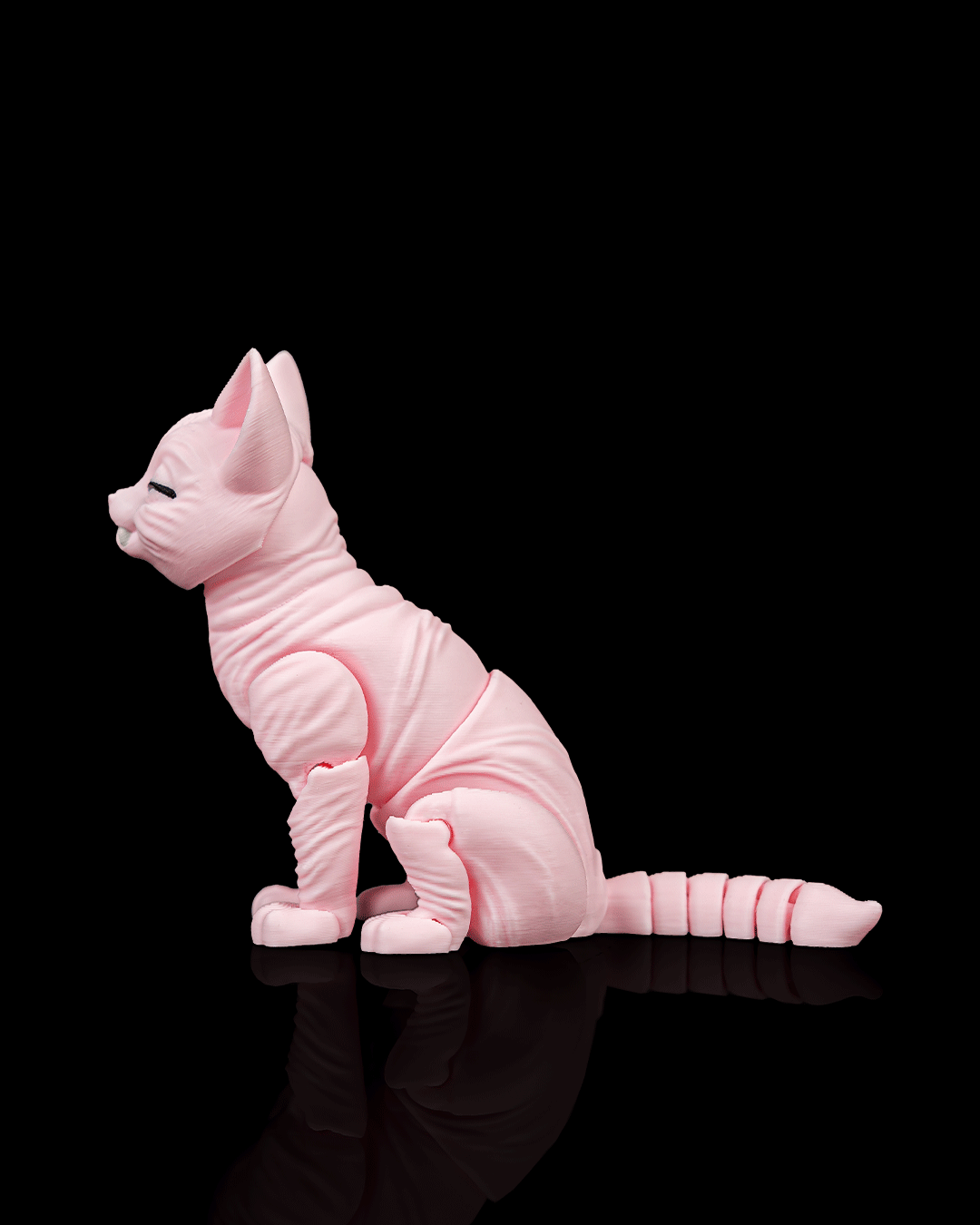 Ruby, the Sphynx - view 4