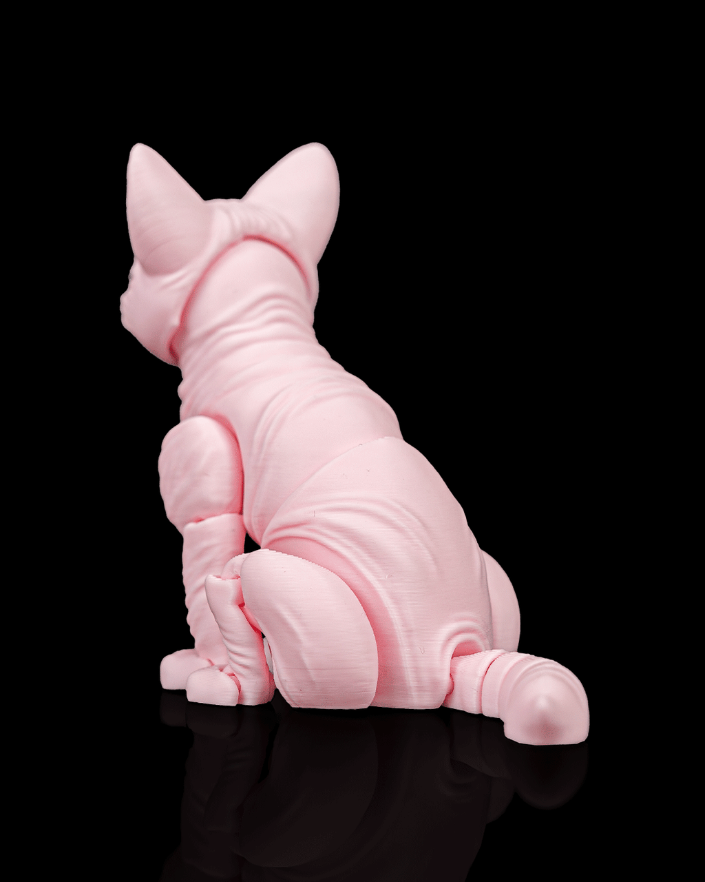Ruby, the Sphynx - view 5